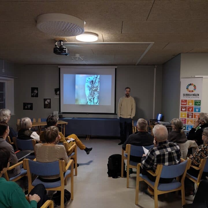 Kretsstämma med föredrag av Patrik Luther