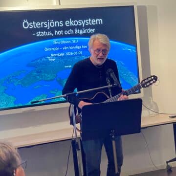 Janne Ramqvist spelar på guitarr