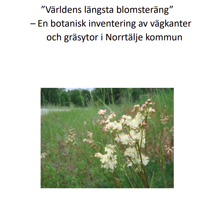 ”Världens längsta blomsteräng” – En botanisk inventering av vägkanter och gräsytor i Norrtälje ...