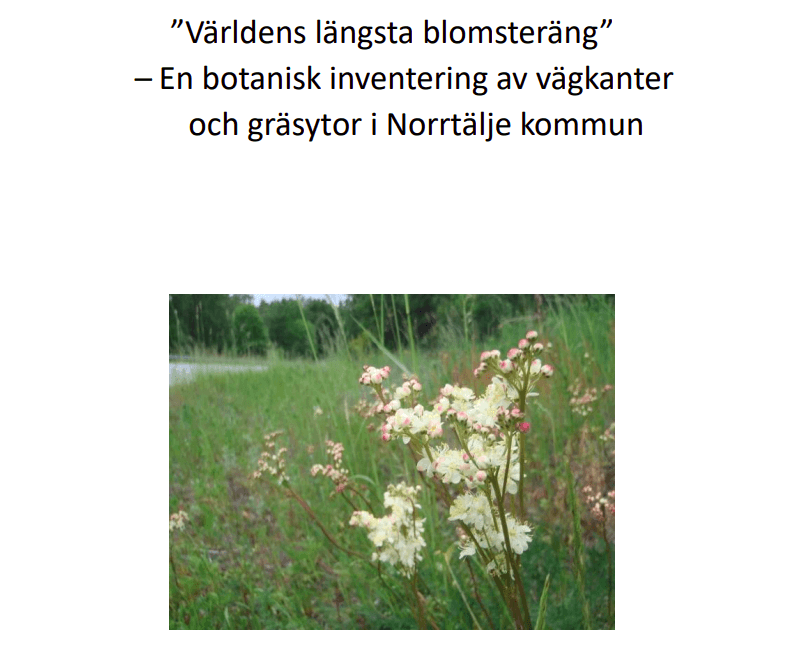 ”Världens längsta blomsteräng” – En botanisk inventering av vägkanter och gräsytor i Norrtälje ...