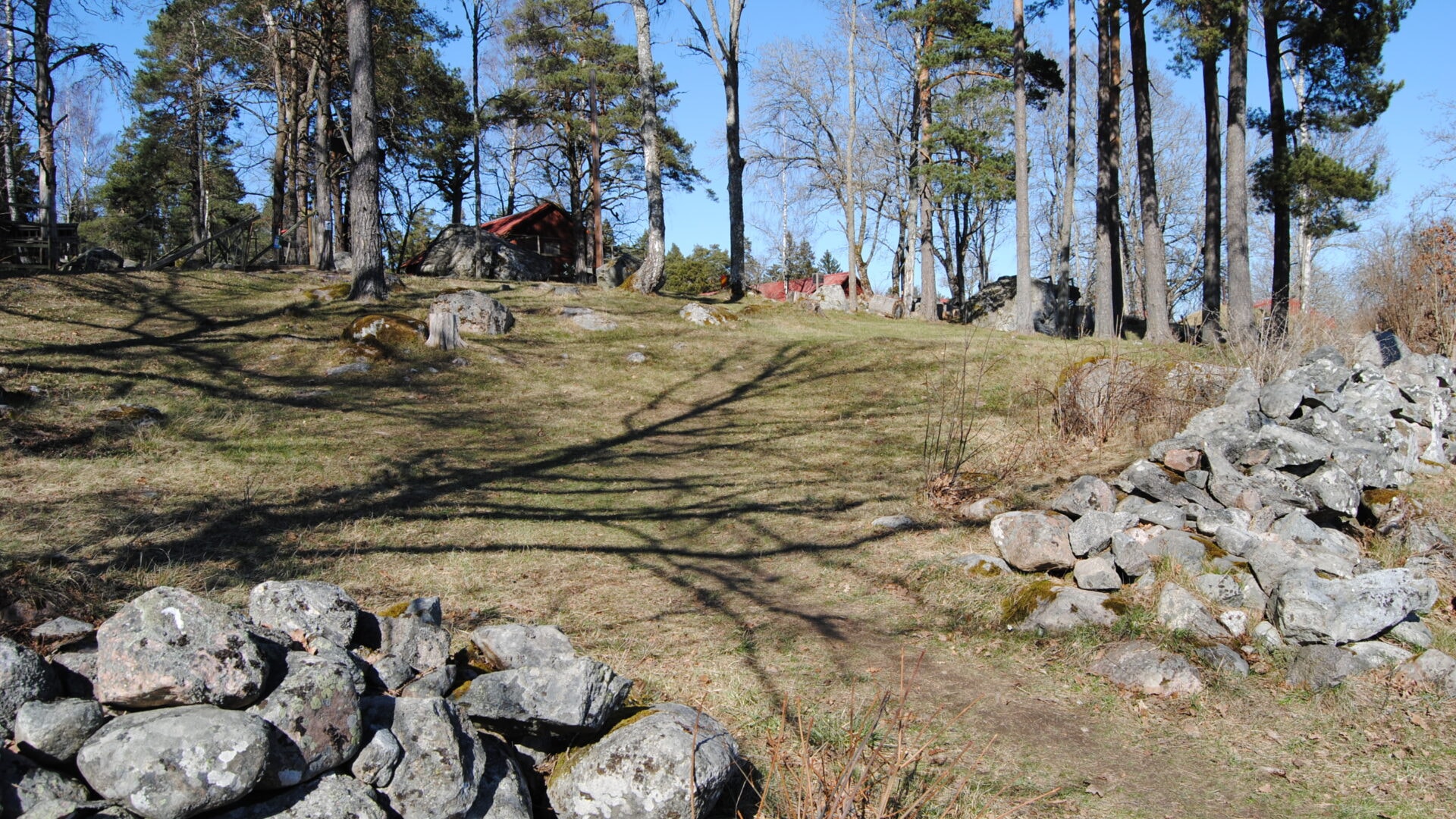 Äng efter fagningen