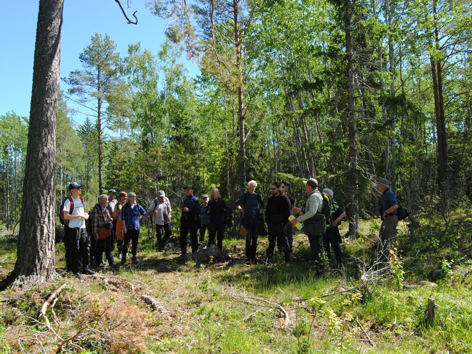 Häverö-Bergby naturreservat