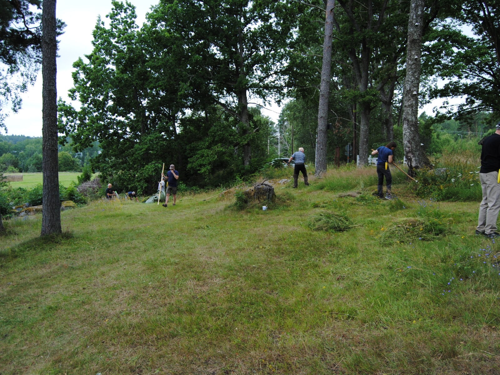 Slåtter på Färsna
