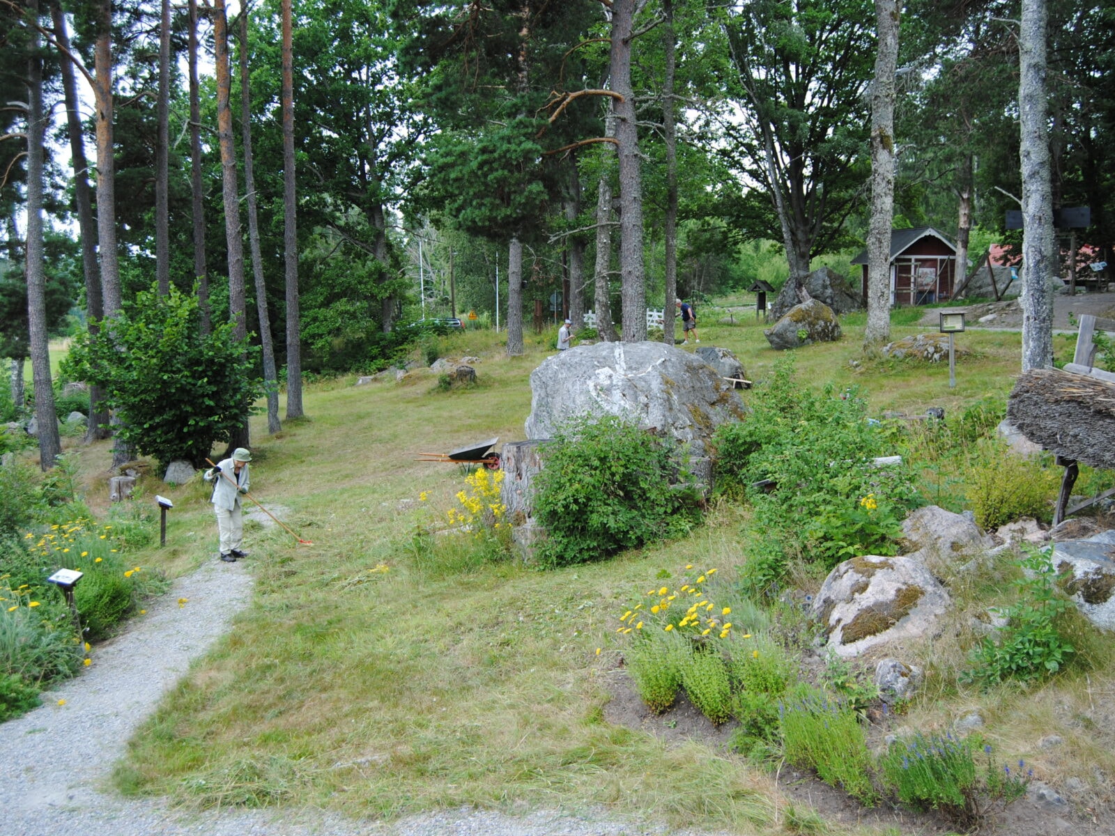 Slåtter på Färsna