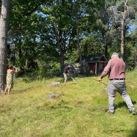 Slåtter på Färsnaängen